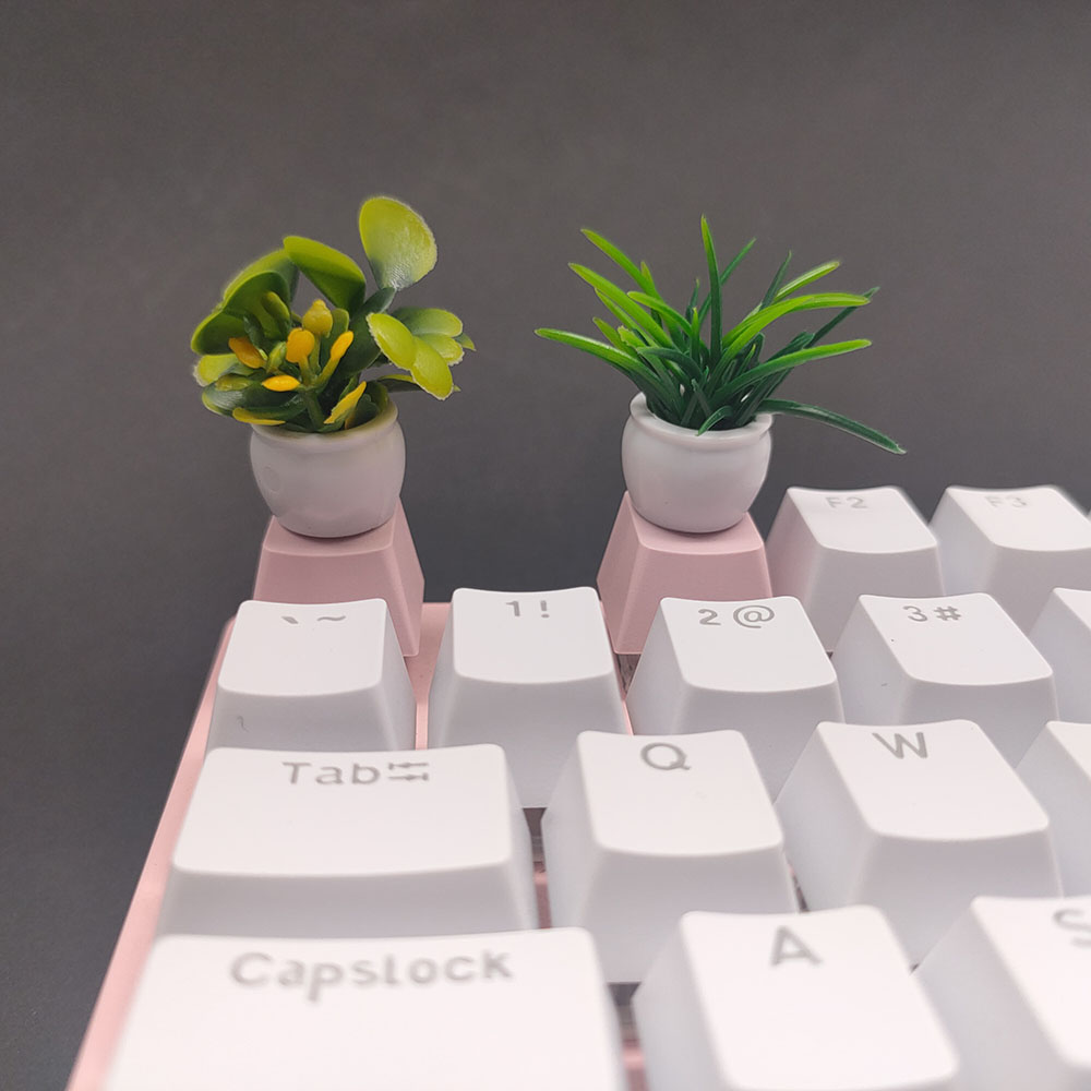 كاي كابس مظهر كرزي شخصي PBT كي - مراجعة Gaming Home Accessories وسعره