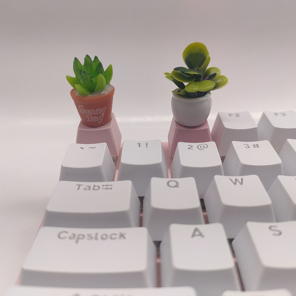 كاي كابس مظهر كرزي شخصي PBT كي - مراجعة Gaming Home Accessories وسعره